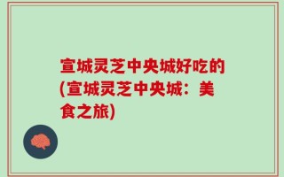 宣城灵芝中央城好吃的(宣城灵芝中央城：美食之旅)
