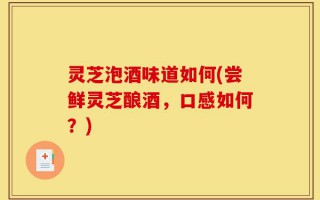 灵芝泡酒味道如何(尝鲜灵芝酿酒，口感如何？)