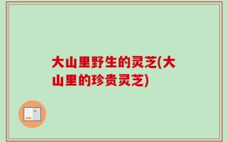 大山里野生的灵芝(大山里的珍贵灵芝)