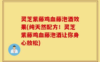 灵芝紫藤鸡血藤泡酒效果(纯天然配方！灵芝紫藤鸡血藤泡酒让你身心放松)