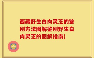 西藏野生白肉灵芝的鉴别方法图解鉴别野生白肉灵芝的图解指南)