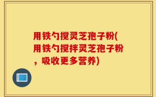 用铁勺搅灵芝孢子粉(用铁勺搅拌灵芝孢子粉，吸收更多营养)