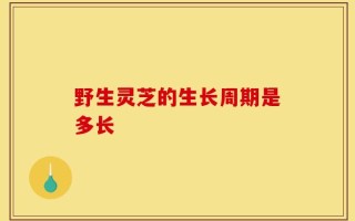野生灵芝的生长周期是多长