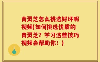 青灵芝怎么挑选好坏呢视频(如何挑选优质的青灵芝？学习这些技巧视频会帮助你！)