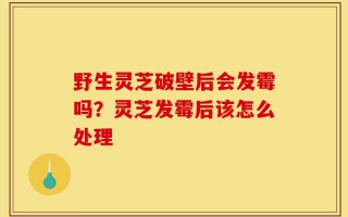野生灵芝破壁后会发霉吗？灵芝发霉后该怎么处理