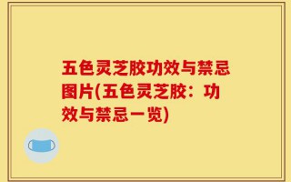 五色灵芝胶功效与禁忌图片(五色灵芝胶：功效与禁忌一览)