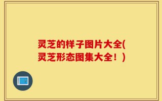 灵芝的样子图片大全(灵芝形态图集大全！)