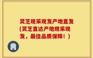 灵芝现采现发产地直发(灵芝直达产地现采现发，最佳品质保障！)