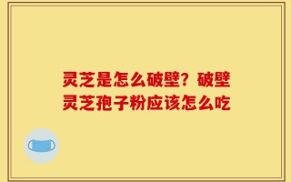 灵芝是怎么破壁？破壁灵芝孢子粉应该怎么吃