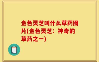金色灵芝叫什么草药图片(金色灵芝：神奇的草药之一)
