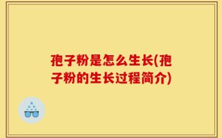 孢子粉是怎么生长(孢子粉的生长过程简介)