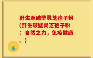 野生源破壁灵芝孢子粉(野生破壁灵芝孢子粉：自然之力，免疫健康。)