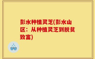 彭水种植灵芝(彭水山区：从种植灵芝到脱贫致富)