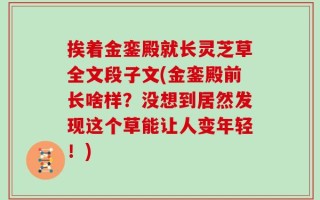 挨着金銮殿就长灵芝草全文段子文(金銮殿前长啥样？没想到居然发现这个草能让人变年轻！)