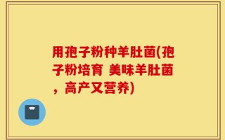 用孢子粉种羊肚菌(孢子粉培育 美味羊肚菌，高产又营养)