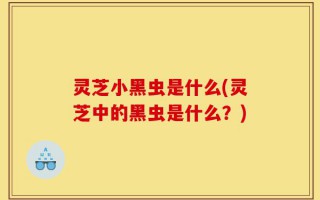 灵芝小黑虫是什么(灵芝中的黑虫是什么？)