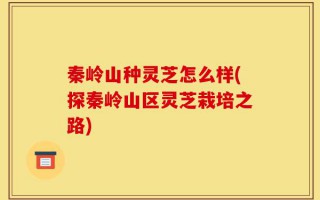 秦岭山种灵芝怎么样(探秦岭山区灵芝栽培之路)
