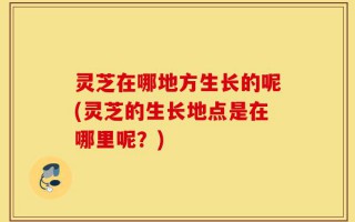 灵芝在哪地方生长的呢(灵芝的生长地点是在哪里呢？)