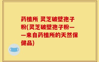 药植所 灵芝破壁孢子粉(灵芝破壁孢子粉——来自药植所的天然保健品)