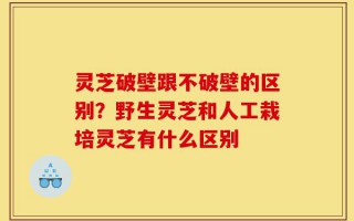 灵芝破壁跟不破壁的区别？野生灵芝和人工栽培灵芝有什么区别
