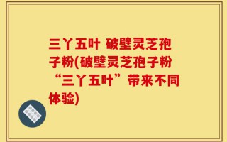 三丫五叶 破壁灵芝孢子粉(破壁灵芝孢子粉“三丫五叶”带来不同体验)