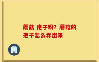 蘑菇 孢子粉？蘑菇的孢子怎么弄出来