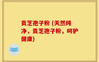 贡芝孢子粉 (天然纯净，贡芝孢子粉，呵护健康)