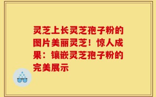 灵芝上长灵芝孢子粉的图片美丽灵芝！惊人成果：镶嵌灵芝孢子粉的完美展示