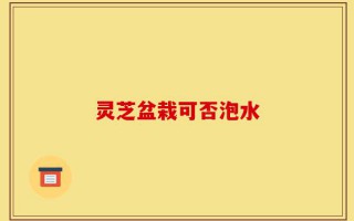 灵芝盆栽可否泡水