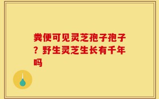粪便可见灵芝孢子孢子？野生灵芝生长有千年吗