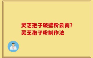 灵芝孢子破壁粉云南？灵芝孢子粉制作法