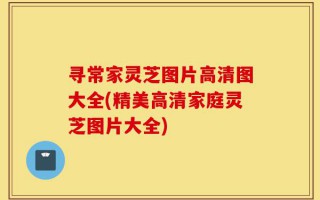 寻常家灵芝图片高清图大全(精美高清家庭灵芝图片大全)