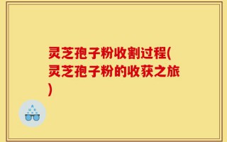 灵芝孢子粉收割过程(灵芝孢子粉的收获之旅)