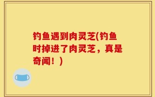 钓鱼遇到肉灵芝(钓鱼时掉进了肉灵芝，真是奇闻！)