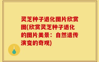 灵芝种子退化图片欣赏图(欣赏灵芝种子退化的图片美景：自然遗传演变的奇观)