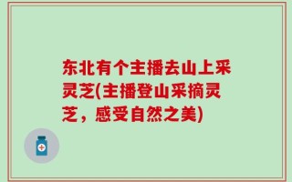 东北有个主播去山上采灵芝(主播登山采摘灵芝，感受自然之美)