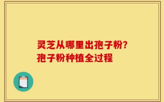 灵芝从哪里出孢子粉？孢子粉种植全过程