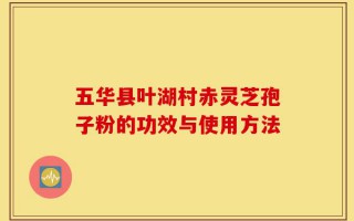 五华县叶湖村赤灵芝孢子粉的功效与使用方法