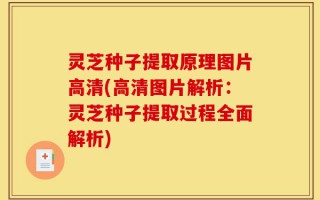 灵芝种子提取原理图片高清(高清图片解析：灵芝种子提取过程全面解析)