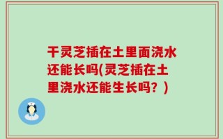 干灵芝插在土里面浇水还能长吗(灵芝插在土里浇水还能生长吗？)