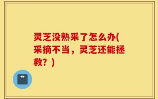 灵芝没熟采了怎么办(采摘不当，灵芝还能拯救？)