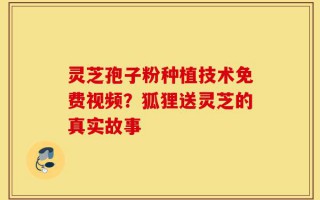灵芝孢子粉种植技术免费视频？狐狸送灵芝的真实故事