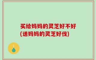 买给妈妈的灵芝好不好(送妈妈的灵芝好伐)