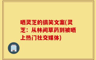 晒灵芝的搞笑文案(灵芝：从林间草药到被晒上热门社交媒体)