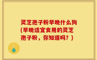 灵芝孢子粉早晚什么狗(早晚适宜食用的灵芝孢子粉，你知道吗？)