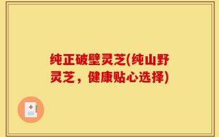 纯正破壁灵芝(纯山野灵芝，健康贴心选择)