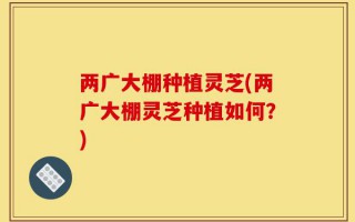 两广大棚种植灵芝(两广大棚灵芝种植如何？)