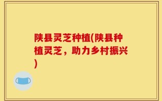 陕县灵芝种植(陕县种植灵芝，助力乡村振兴)