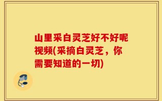 山里采白灵芝好不好呢视频(采摘白灵芝，你需要知道的一切)