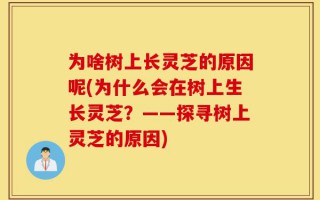 为啥树上长灵芝的原因呢(为什么会在树上生长灵芝？——探寻树上灵芝的原因)